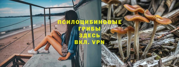 винт Краснослободск