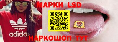 Альфа ПВП Кингисепп