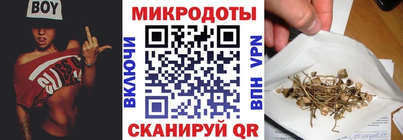 Галлюциногенные грибы мухоморы  Чернушка 