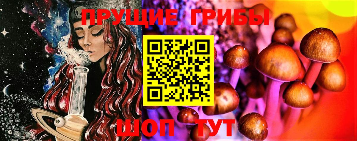 Псилоцибиновые грибы Psilocybine cubensis Чернушка