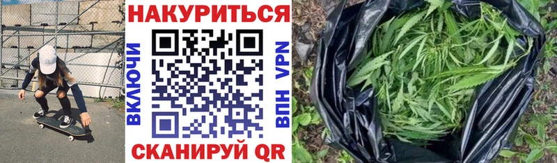 Марихуана конопля  Чернушка 